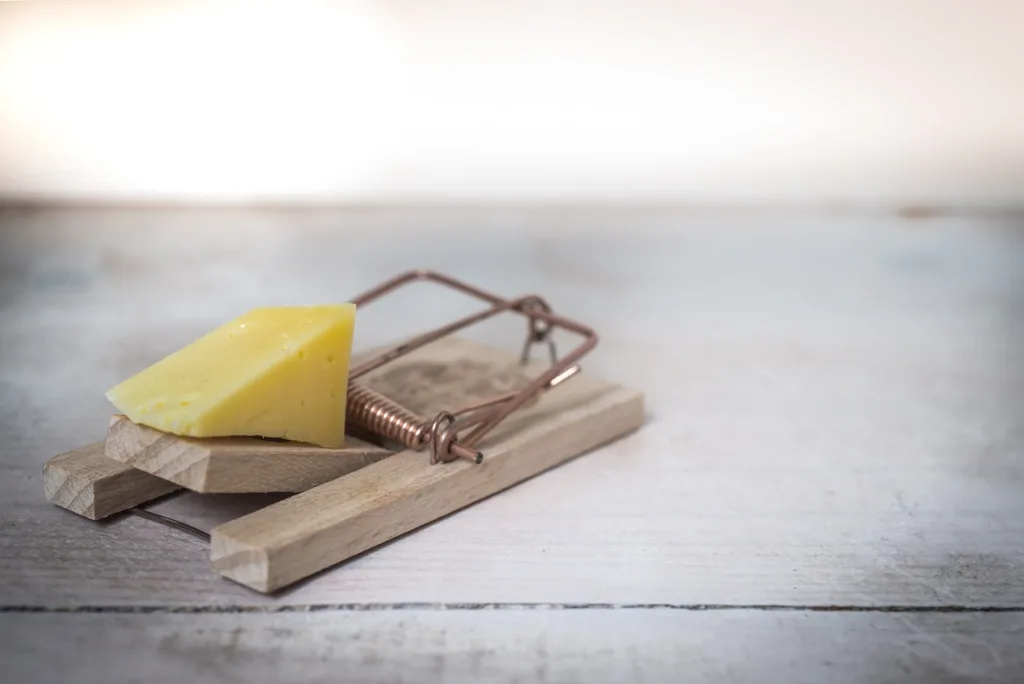 mouse trap, cheese, device-2846147.jpg